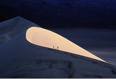 视觉小说新作《新宿葬命》2024年2月登陆PC